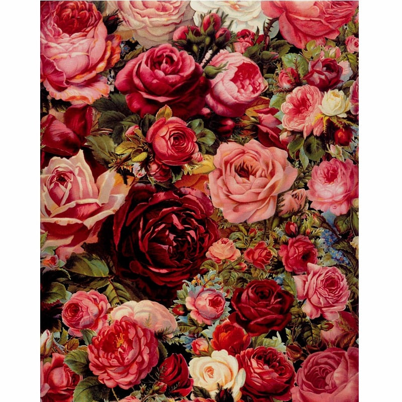Frameless Frame Rose Flowers DIY Painting By Numbers Mordern Wall Art Hand Painted Oil Painting For Home Decor Artwork 40x50cm