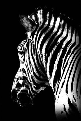 Nordic Canvas Art Painting Black White Giraffe Elephant Zebra Lion Print Animal Wall Art Poster Living Room Home Decor Painting
